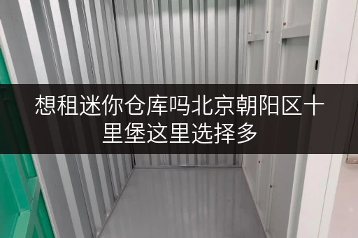 想租迷你仓库吗北京朝阳区十里堡这里选择多