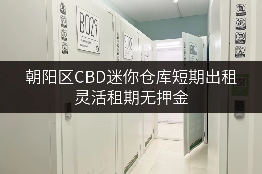 朝阳区CBD迷你仓库短期出租灵活租期无押金
