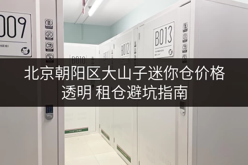 北京朝阳区大山子迷你仓价格透明 租仓避坑指南