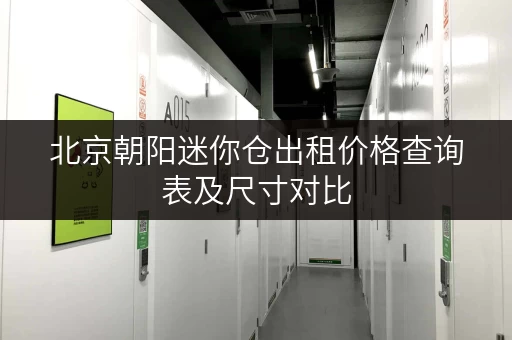 北京朝阳迷你仓出租价格查询表及尺寸对比