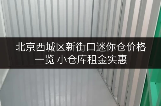 北京西城区新街口迷你仓价格一览 小仓库租金实惠