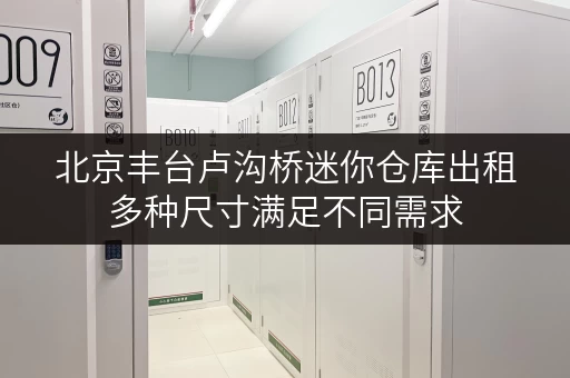 北京丰台卢沟桥迷你仓库出租多种尺寸满足不同需求