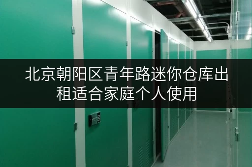 北京朝阳区青年路迷你仓库出租适合家庭个人使用 北京朝阳区青年路迷你仓库出租适合家庭个人使用