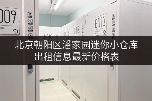 北京朝阳区潘家园迷你小仓库出租信息最新价格表