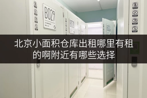 北京小面积仓库出租哪里有租的啊附近有哪些选择