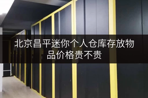 北京昌平迷你个人仓库存放物品价格贵不贵