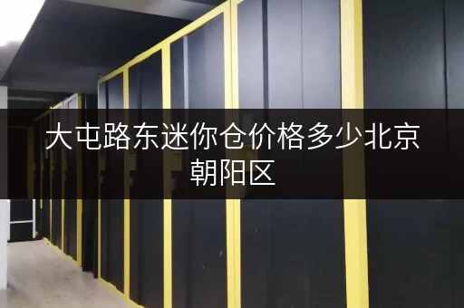 大屯路东迷你仓价格多少北京朝阳区