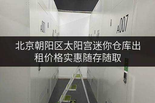 北京朝阳区太阳宫迷你仓库出租价格实惠随存随取