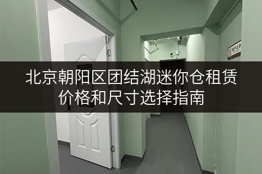 北京朝阳区团结湖迷你仓租赁价格和尺寸选择指南
