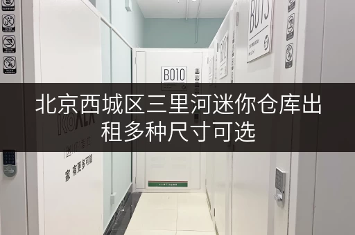 北京西城区三里河迷你仓库出租多种尺寸可选