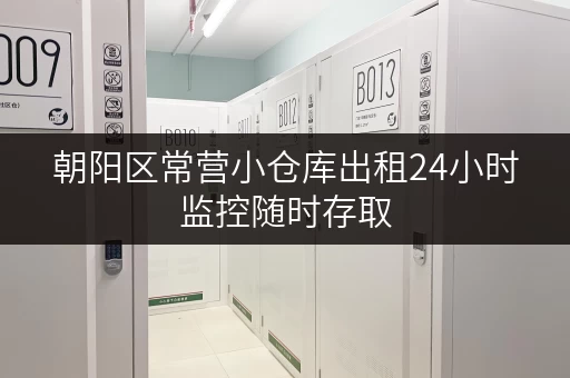 朝阳区常营小仓库出租24小时监控随时存取