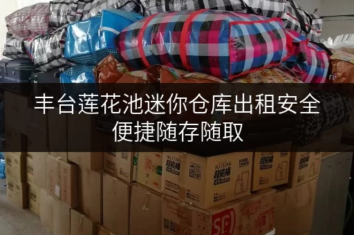 丰台莲花池迷你仓库出租安全便捷随存随取