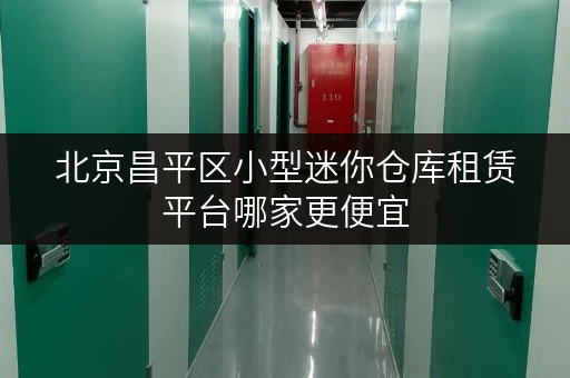 北京昌平区小型迷你仓库租赁平台哪家更便宜 北京昌平区小型迷你仓库租赁平台哪家更便宜