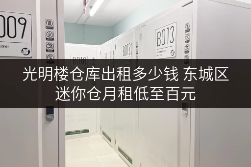 光明楼仓库出租多少钱 东城区迷你仓月租低至百元