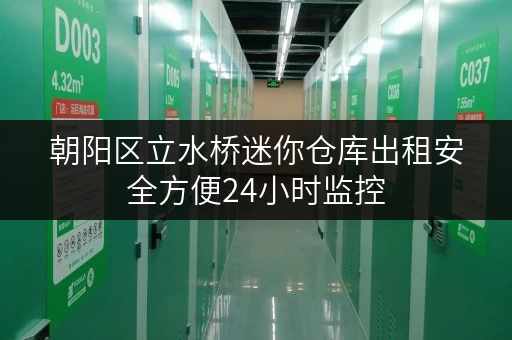 朝阳区立水桥迷你仓库出租安全方便24小时监控