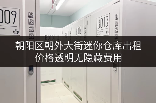 朝阳区朝外大街迷你仓库出租价格透明无隐藏费用
