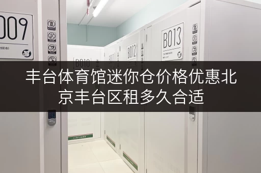 丰台体育馆迷你仓价格优惠北京丰台区租多久合适
