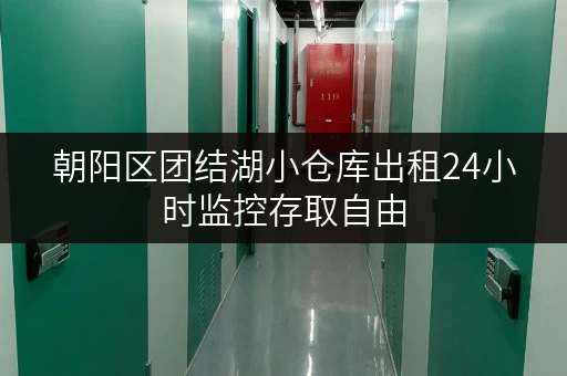 朝阳区团结湖小仓库出租24小时监控存取自由