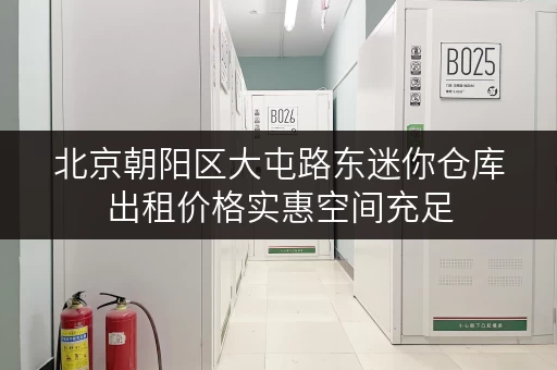 北京朝阳区大屯路东迷你仓库出租价格实惠空间充足
