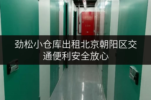 劲松小仓库出租北京朝阳区交通便利安全放心 劲松小仓库出租北京朝阳区交通便利安全放心