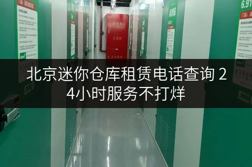北京迷你仓库租赁电话查询 24小时服务不打烊