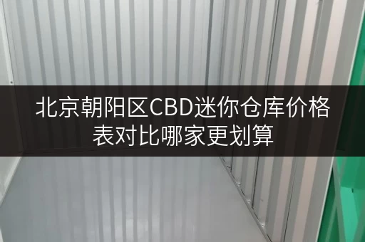 北京朝阳区CBD迷你仓库价格表对比哪家更划算