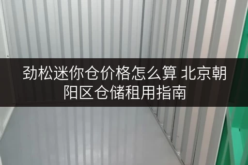 劲松迷你仓价格怎么算 北京朝阳区仓储租用指南