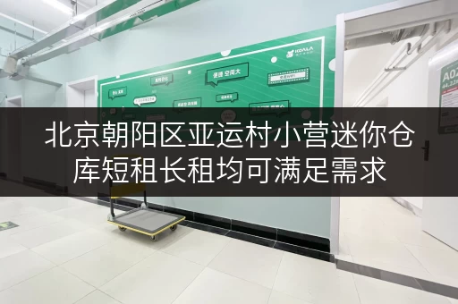 北京朝阳区亚运村小营迷你仓库短租长租均可满足需求