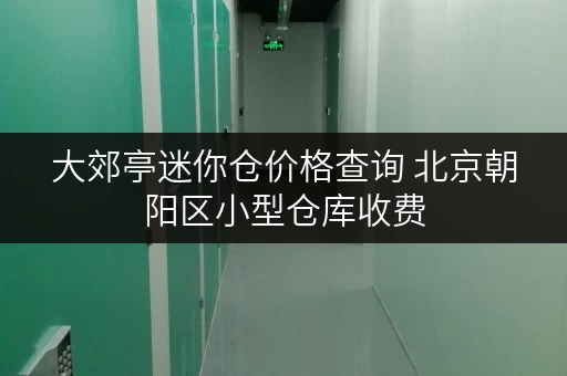 大郊亭迷你仓价格查询 北京朝阳区小型仓库收费