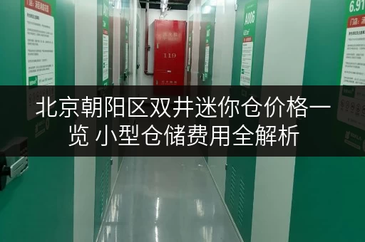 北京朝阳区双井迷你仓价格一览 小型仓储费用全解析