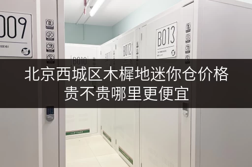 北京西城区木樨地迷你仓价格贵不贵哪里更便宜