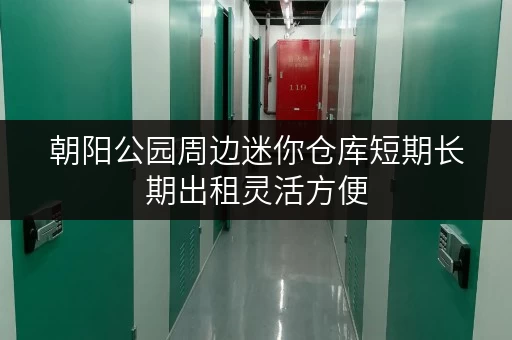 朝阳公园周边迷你仓库短期长期出租灵活方便