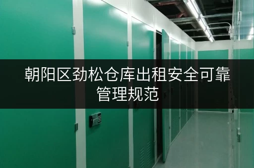 朝阳区劲松仓库出租安全可靠管理规范