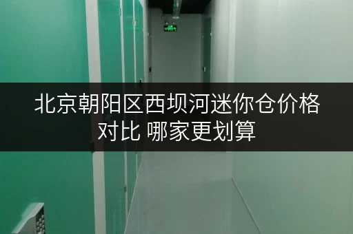 北京朝阳区西坝河迷你仓价格对比 哪家更划算