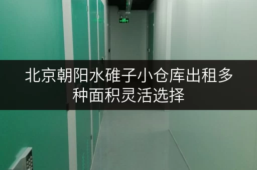 北京朝阳水碓子小仓库出租多种面积灵活选择