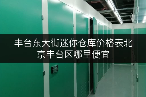 丰台东大街迷你仓库价格表北京丰台区哪里便宜
