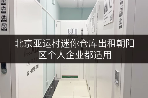 北京亚运村迷你仓库出租朝阳区个人企业都适用