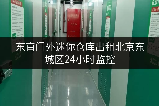 东直门外迷你仓库出租北京东城区24小时监控