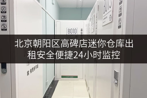 北京朝阳区高碑店迷你仓库出租安全便捷24小时监控
