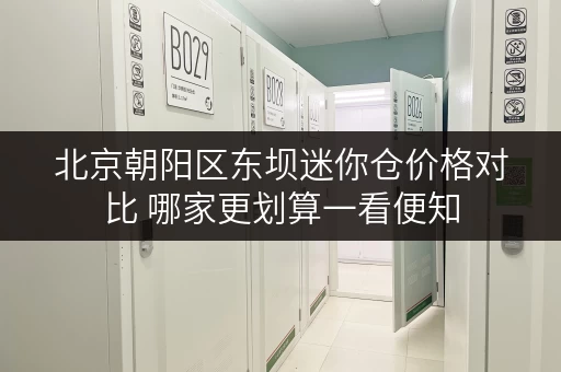 北京朝阳区东坝迷你仓价格对比 哪家更划算一看便知