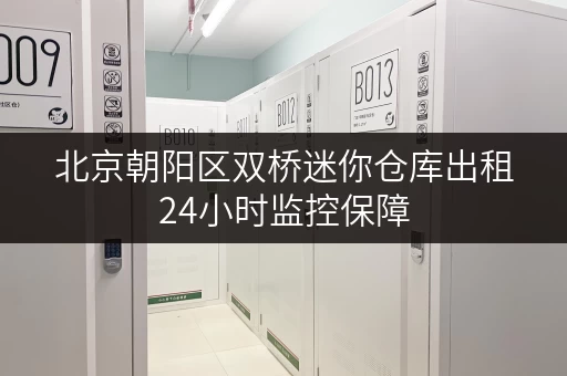 北京朝阳区双桥迷你仓库出租24小时监控保障