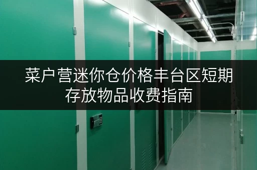 菜户营迷你仓价格丰台区短期存放物品收费指南 菜户营迷你仓价格丰台区短期存放物品收费指南