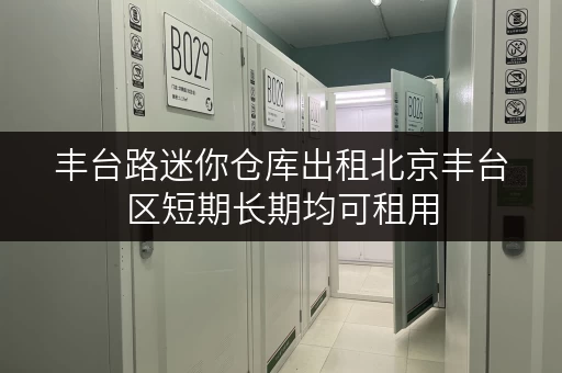 丰台路迷你仓库出租北京丰台区短期长期均可租用