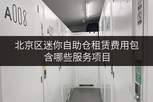 北京区迷你自助仓租赁费用包含哪些服务项目