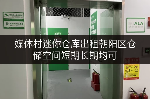媒体村迷你仓库出租朝阳区仓储空间短期长期均可