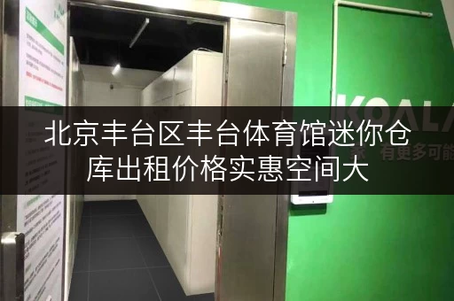 北京丰台区丰台体育馆迷你仓库出租价格实惠空间大