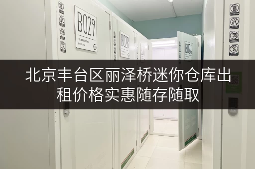 北京丰台区丽泽桥迷你仓库出租价格实惠随存随取 北京丰台区丽泽桥迷你仓库出租价格实惠随存随取