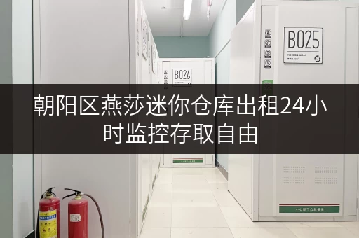 朝阳区燕莎迷你仓库出租24小时监控存取自由