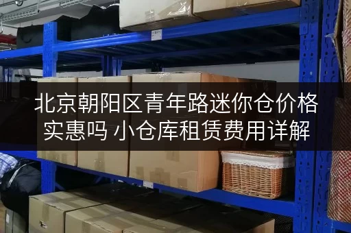 北京朝阳区青年路迷你仓价格实惠吗 小仓库租赁费用详解