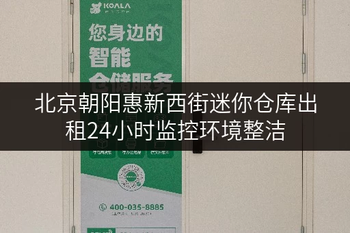 北京朝阳惠新西街迷你仓库出租24小时监控环境整洁